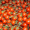Pomodorini Pachino
